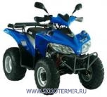 Квадроцикл SYM Trackrunner 200